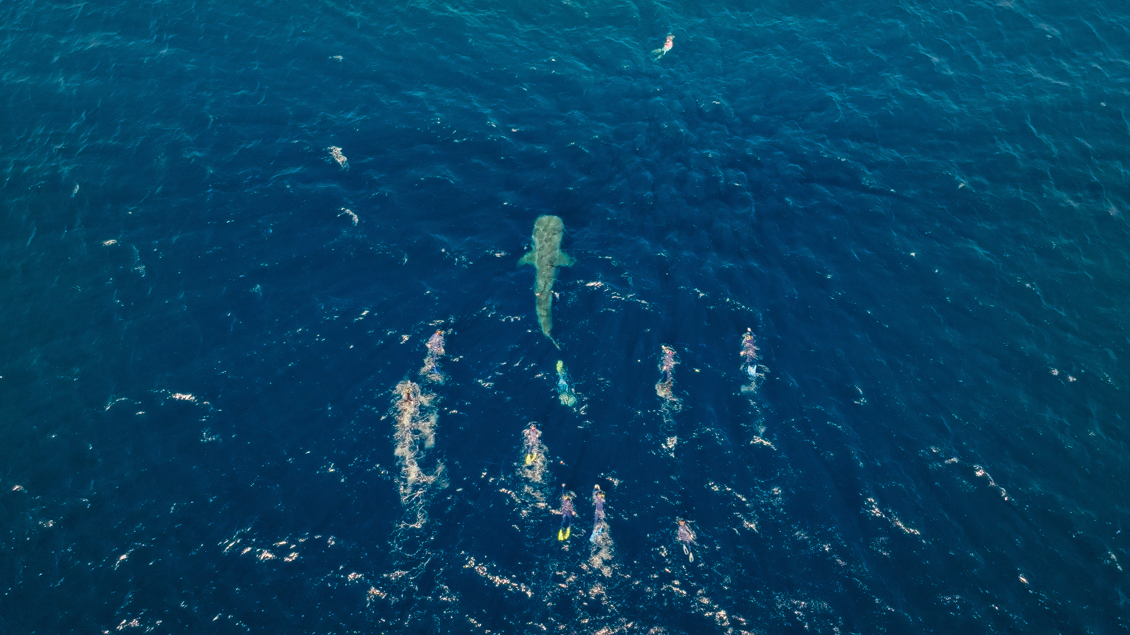 Aerial Australia gallery image 15