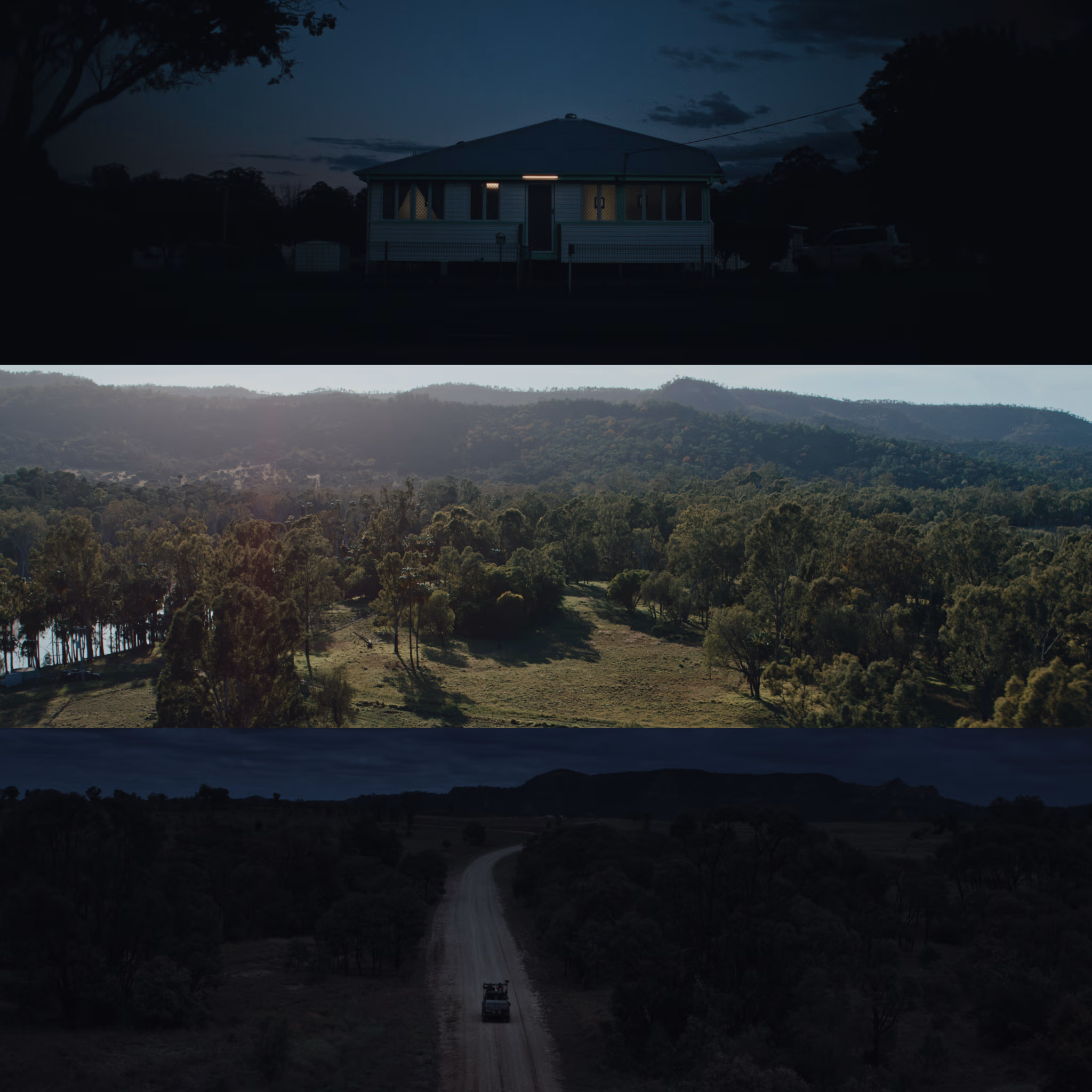 Rippy gallery image 2