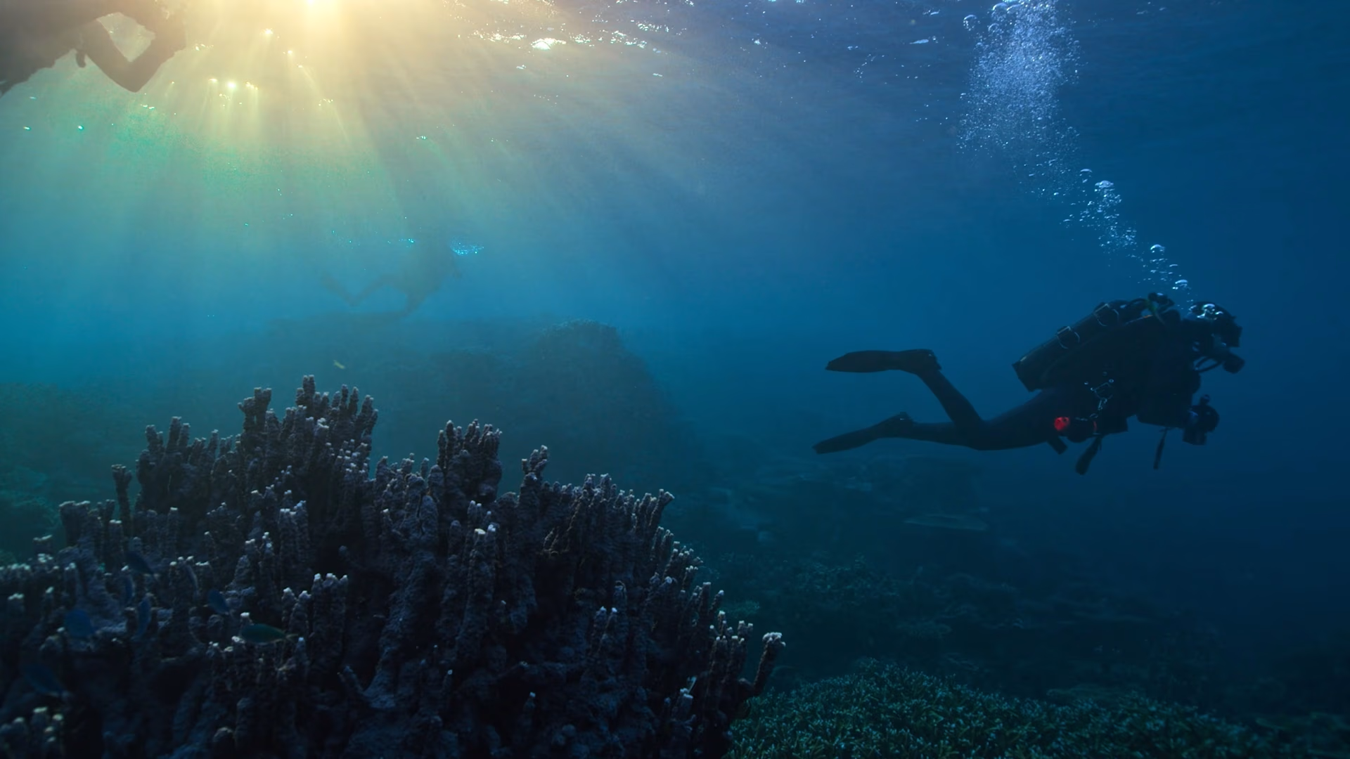 Shipwreck Hunters Australia Season 1 gallery image 8