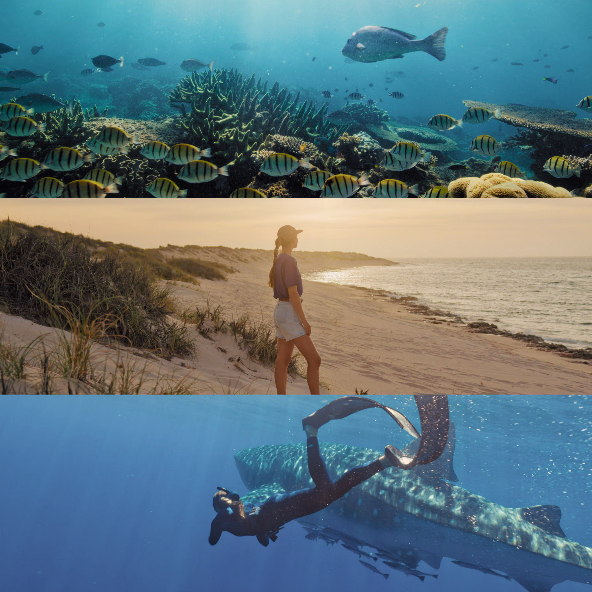 Shipwreck Hunters Australia Season 2 gallery image 7